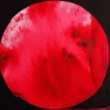 Brusho  - Rose Red