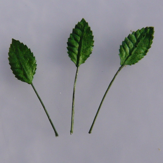 Wild orchids- 100 GREEN MULBERRY PAPER ROSE LEAVES - 15mm