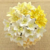 Wild orchids craft -50 MIXED WHITE/CREAM MULBERRY PAPER LILY FLOWERS - 5 COLOR