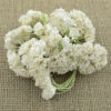 MULBERRY PAPER GYPSOPHILA FLOWERS white