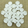 Wild orchid craft - 100 WHITE HYDRANGRA BLOOMS