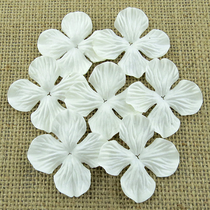 Wild orchid craft - 100 WHITE HYDRANGRA BLOOMS