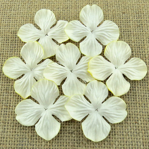 Wild orchid craft - 100 IVORY HYDRANGRA BLOOMS