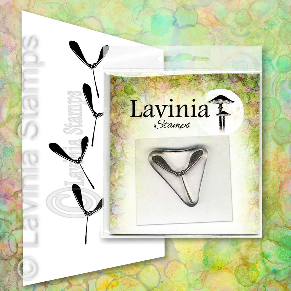 Lavinia - Mini Sycamore - (Miniature) LAV665