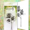 Lavinia - Lilium - Lav653