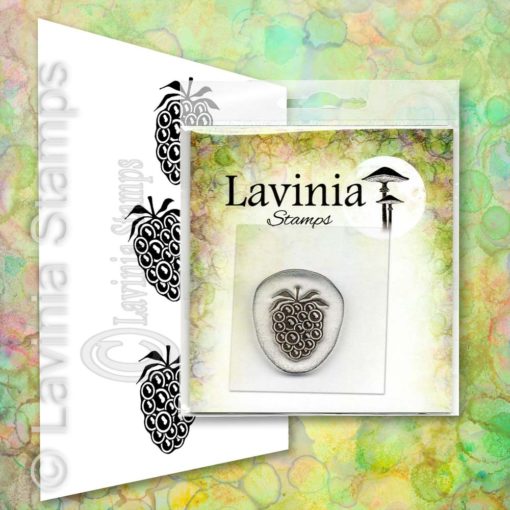 Lavinia - Mini Blackberry - (Miniature) LAV650