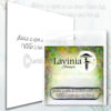 Lavinia - Silence - LAV576