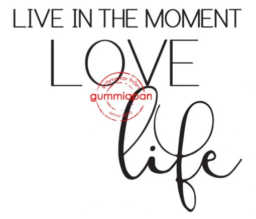 Gummiapan - Live in the moment......- umontert stempel