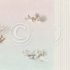 Pion Design -Winter land - Winter Wonderland