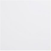 Bazzill Plastic Embossing Paper - Snowball