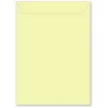 Memory Box Large Storage Pouch 6.75"X9.375" 50/Pkg  Daffodil