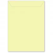 Memory Box Large Storage Pouch 6.75"X9.375" 50/Pkg  Daffodil