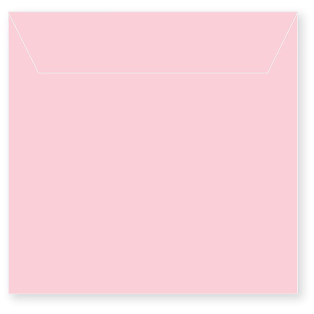 Memory Box Small Storage Pouch 5.125"X5" 50/Pkg   Petal Pink