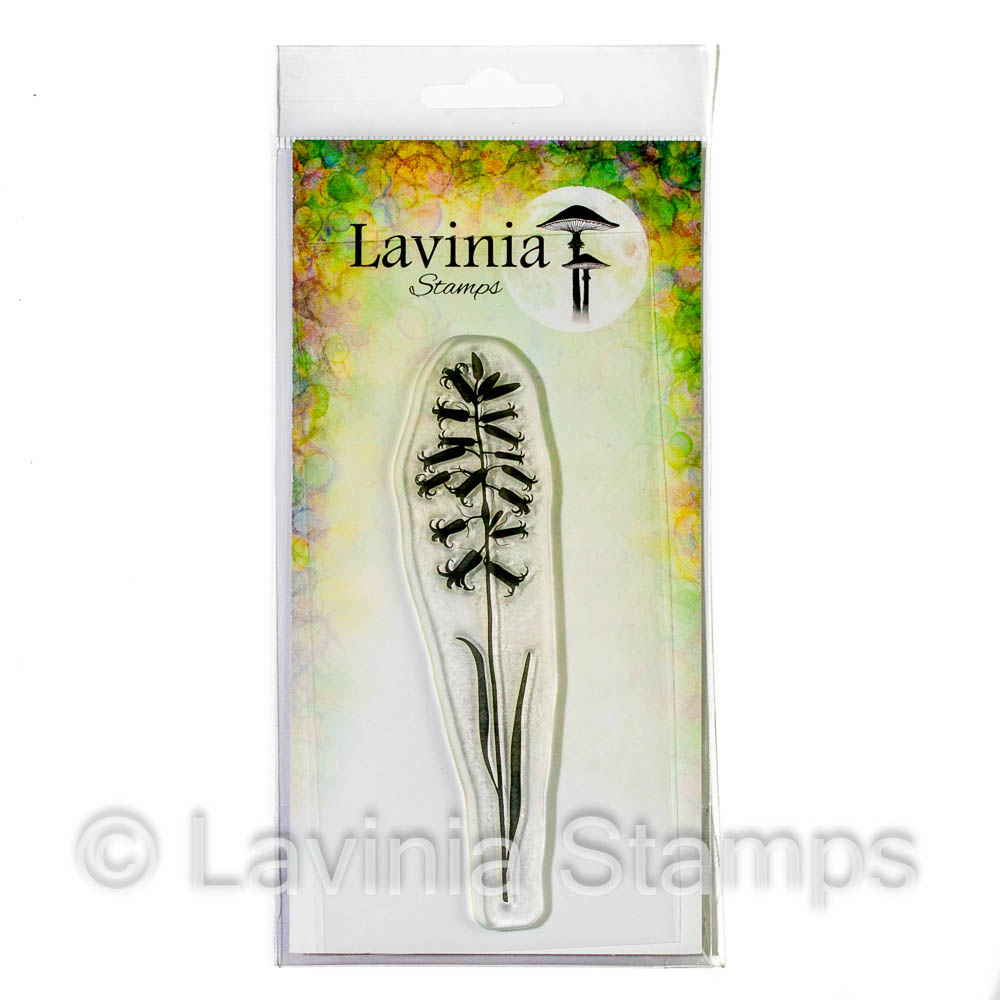 Lavinia - English Bluebell - LAV711