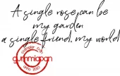 Gummiapan - A single rose can.....- Stempel