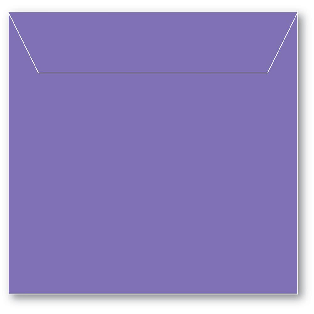 Memory Box Small Storage Pouch 5.125"X5" 50/Pkg  Violet