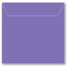 Memory Box Small Storage Pouch 5.125"X5" 50/Pkg  Violet