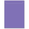 Memory Box Large Storage Pouch 6.75"X9.375" 50/Pkg  Violet