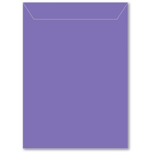 Memory Box Large Storage Pouch 6.75"X9.375" 50/Pkg  Violet