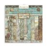 Stamperia - Maxi Background Sir Vagabond Aviato-  12x12 Inch Paper Pack