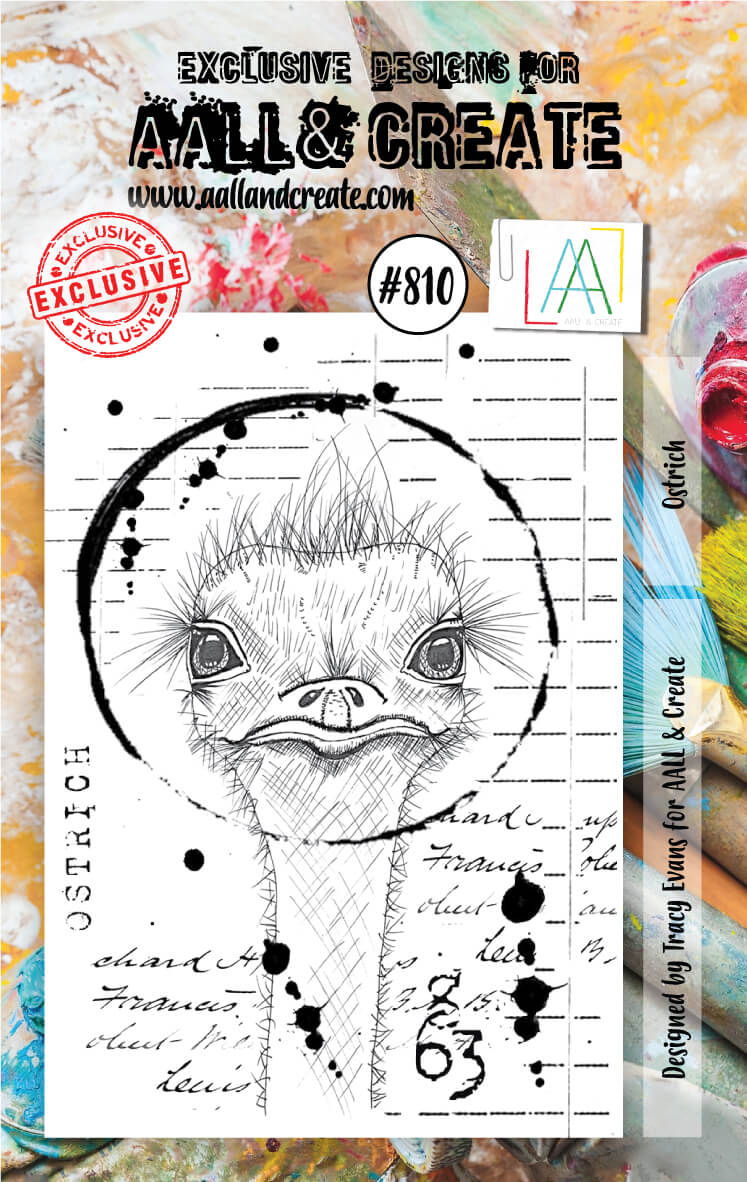 AAll&Create - A7 STAMP - Ostrich - #810