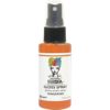 Dina Wakley Media - Gloss Spray - Tangerine