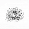 Gummiapan - Dahlia- umontert Stempel