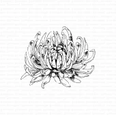 Gummiapan - Dahlia- umontert Stempel