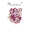 Prima Marketing Mulberry Paper Flowers - Endearing Notes/ Avec Amour