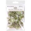 49 and Market - Vintage Artistry Essentials Foliage Mini