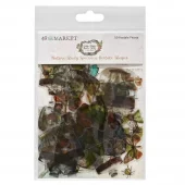 49 & Market - Nature Study - Specimen Acetate Shapes