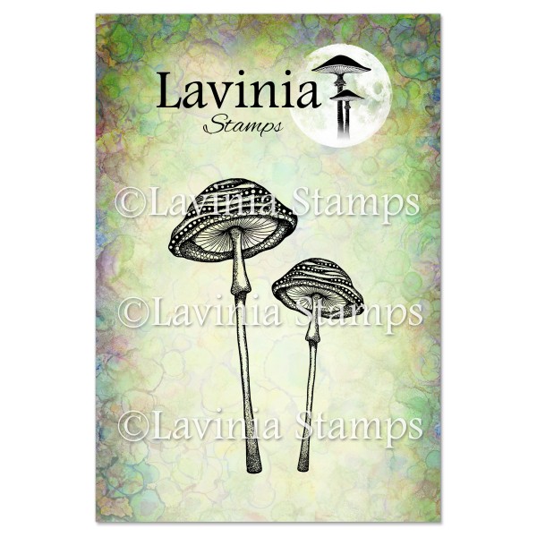 Lavinia - Snailcap Mushrooms LAV852