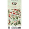 49 & Market - 49 and Market - Evergreen Season - Wildflowers - Laser Cut Outs