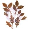 Finnabair Mechanicals Metal Embellishments - Woodland Leaves