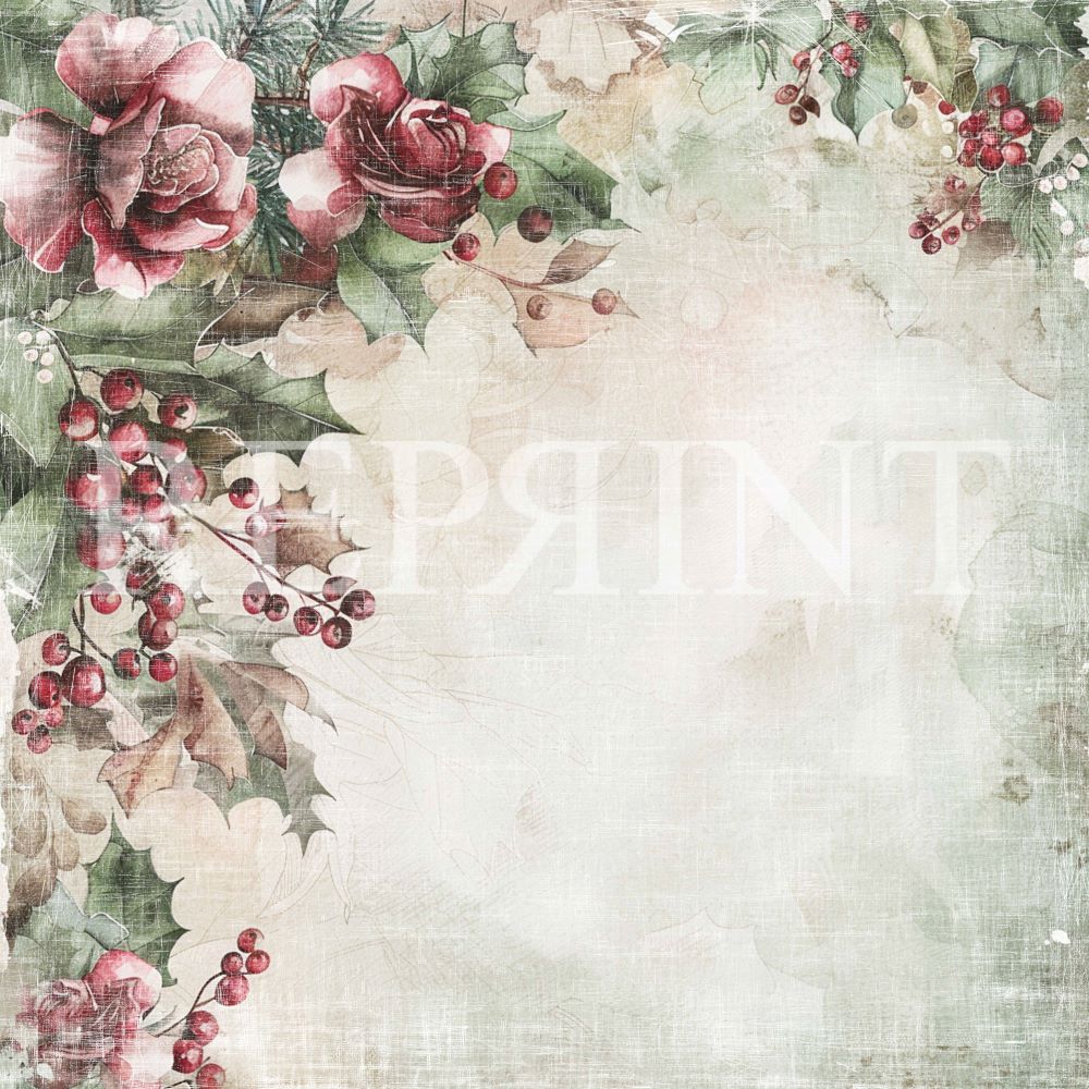 Reprint - 12 x12 - Xmas -  Cristmas Rose