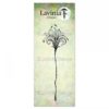 Lavinia - Flower Divine 1 LAV901