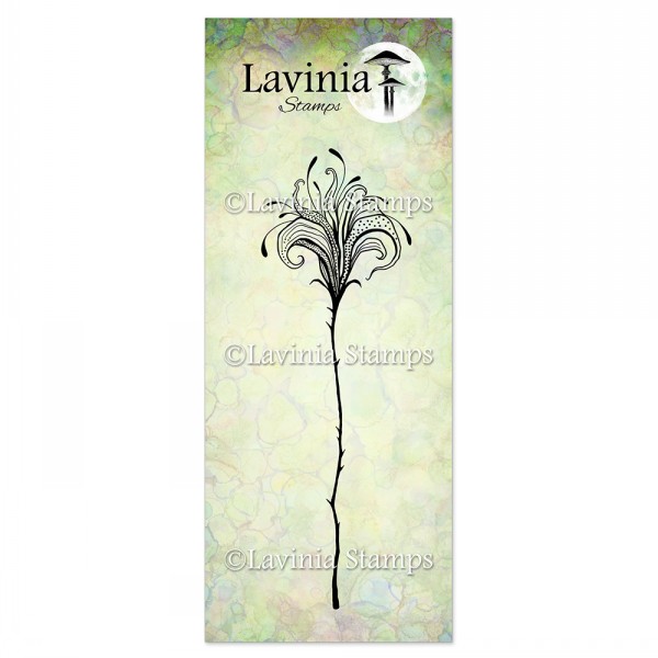 Lavinia - Flower Divine 1 LAV901