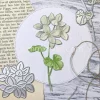 Gummiapan - Pelargon