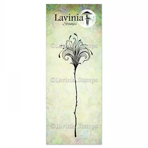 Lavinia - Flower Divine 1 LAV901