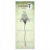 Lavinia - Flower Divine 2 LAV902