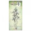 Lavinia - Twilight Lily LAV905