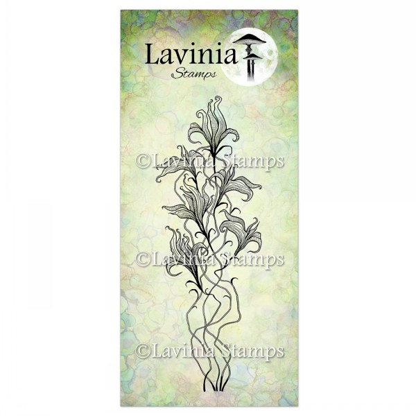 Lavinia - Twilight Lily LAV905