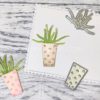 Gummiapan - Krukke med plante