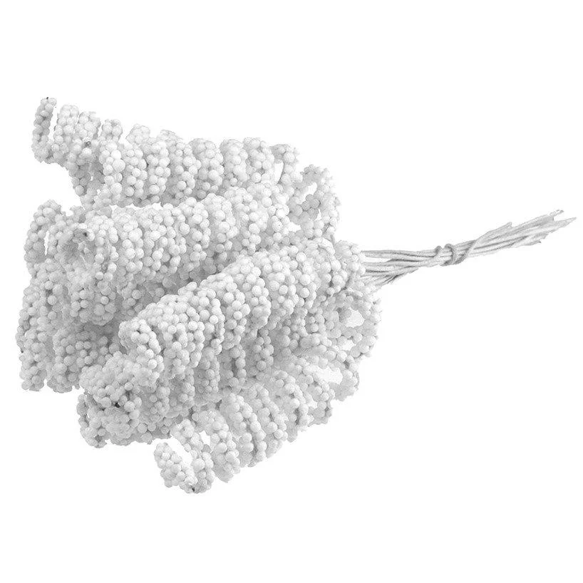 WHITE SPIRAL STAMENS