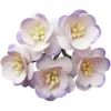 50 2-TONE LILAC MULBERRY PAPER CHERRY BLOSSOMS - 50 2-TONE