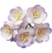 50 2-TONE LILAC MULBERRY PAPER CHERRY BLOSSOMS - 50 2-TONE