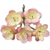CHAMPAGNE PINK MULBERRY PAPER CHERRY BLOSSOMS - 50 2_TONE