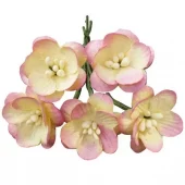 CHAMPAGNE PINK MULBERRY PAPER CHERRY BLOSSOMS - 50 2_TONE
