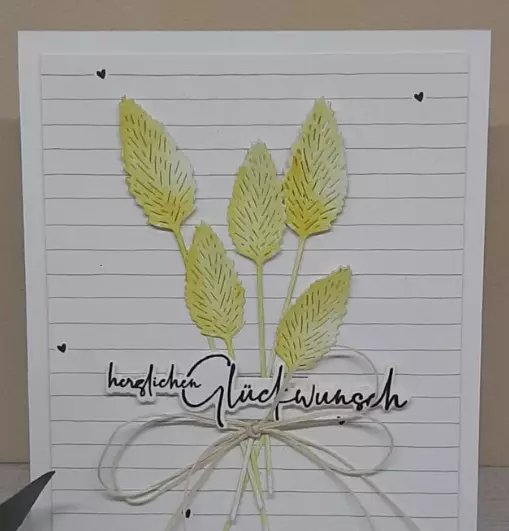 gallery-2835-for-4252000908183