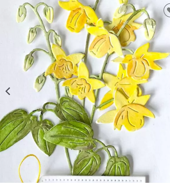 gallery-2823-for-4252000912661